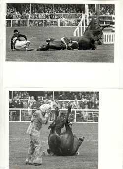 Wideawake’s distraught rider and owner