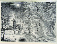 Dirk van Gelder. ”sneeuwlandschap”