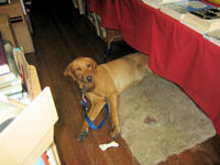 Store mascot Flannery, an enthusiastic and high-maintenance lady